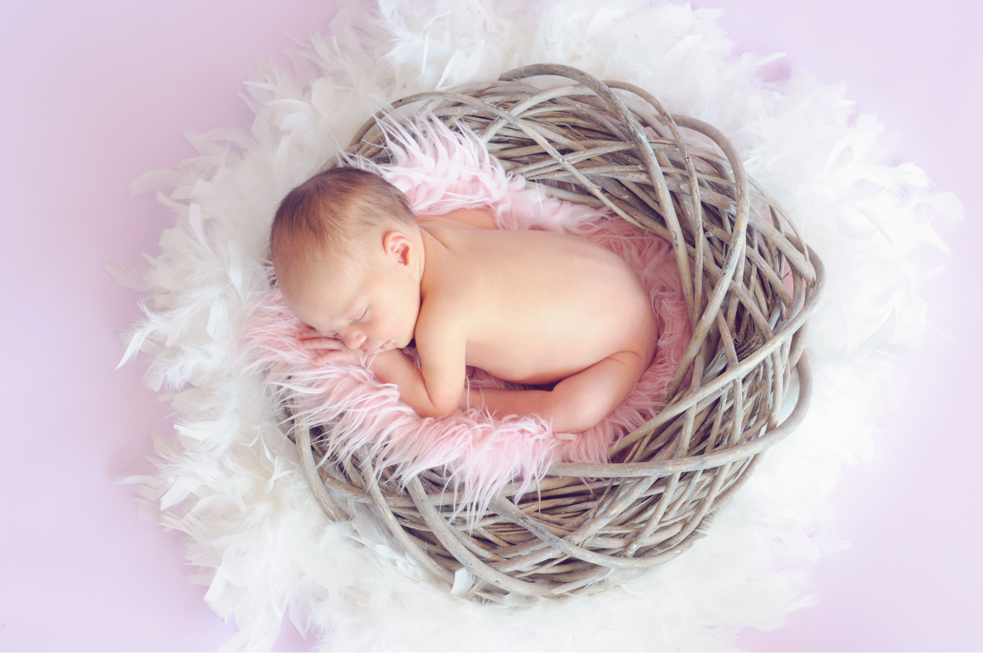 baby Photoshoot baby Photoshoot
