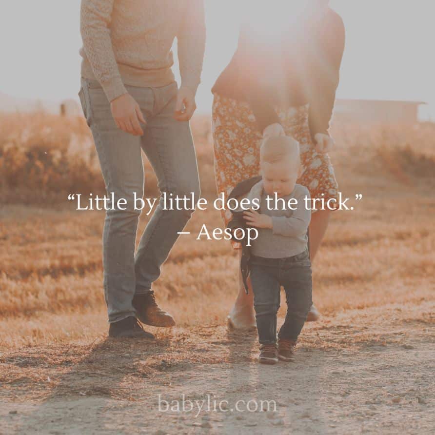 “Little by little does the trick.” – Aesop