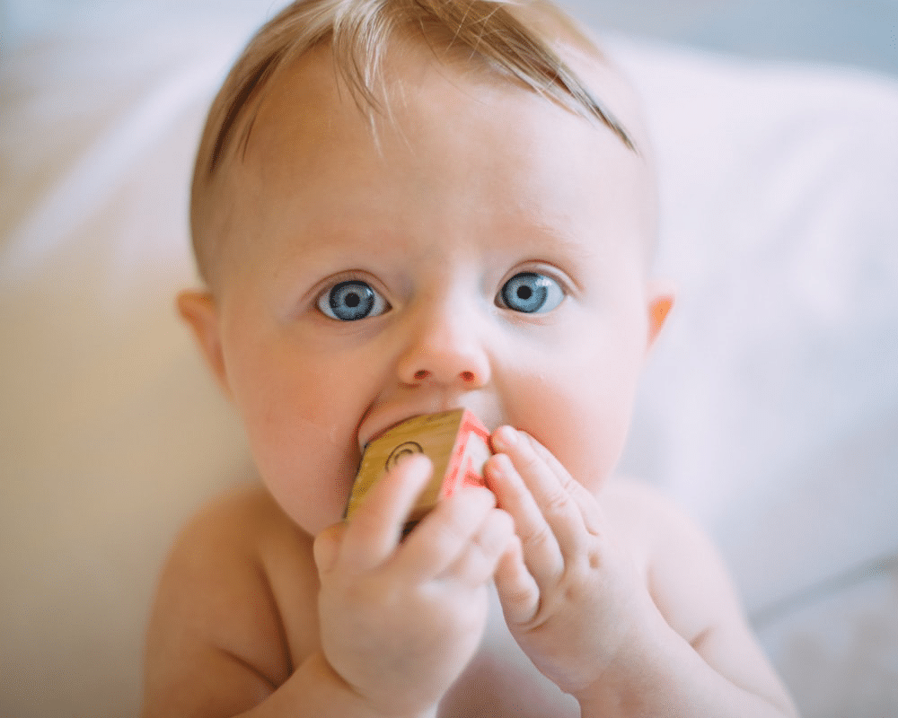 A baby with a building block in his mouth A baby with a building block in his mouth
